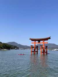 朝昼晩干潮満潮いつ行っても美しい厳島神社