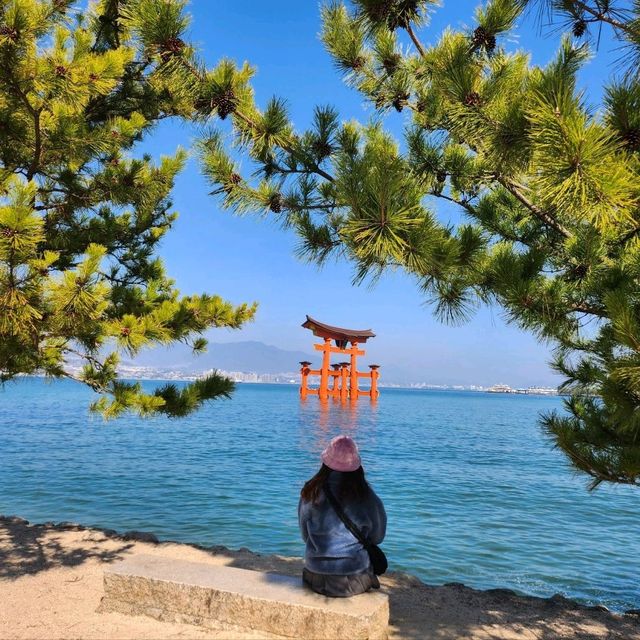일본소도시여행 이쓰쿠시마신사