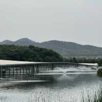 「D博物館：禪意打卡點」