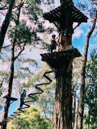 Treetops Adventure Yeodene Park