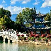 Reflections of Serenity: Black Dragon Pool Park, a Lijiang Gem!