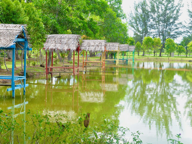 Visitors can encounter over 1,000 crocodiles 🇲🇾