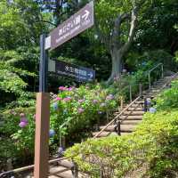 【Tokyo🇯🇵】多摩川台公園