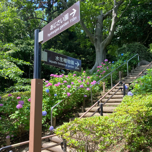 【Tokyo🇯🇵】多摩川台公園