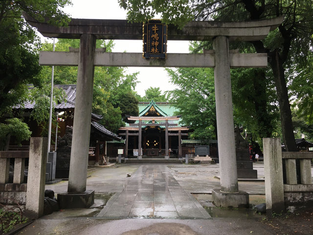 探訪牛嶋神社：隅田公園旁的靈性之地