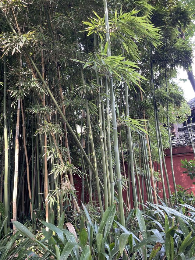 "成都文殊院：尋找心靈寧靜之旅" 🏯🌟🙏