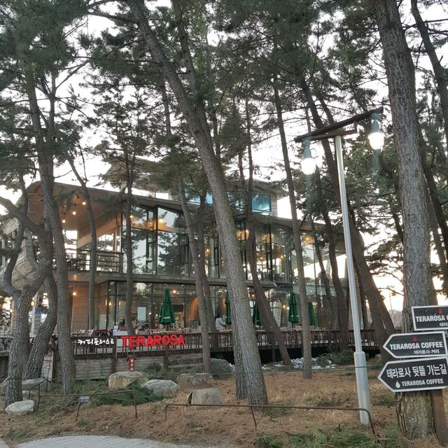 강릉 독채풀빌라 바다도보1분 수영장 온수무료 가성비 가심비 다잡은 감성숙소