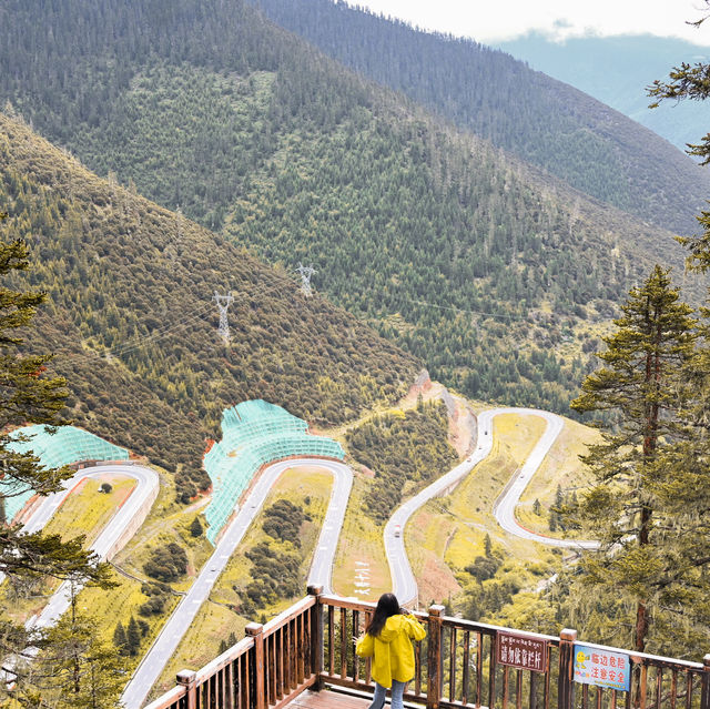 Tianlu Shiba Wan: A Thrilling Journey Along China's Winding Roads