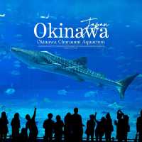 Okinawa Churaumi Aquarium