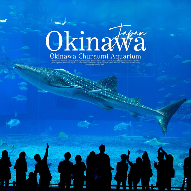 Okinawa Churaumi Aquarium