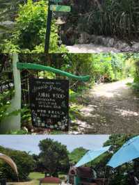 【与論島】ガーデンからのオーシャンビュースポット🌿