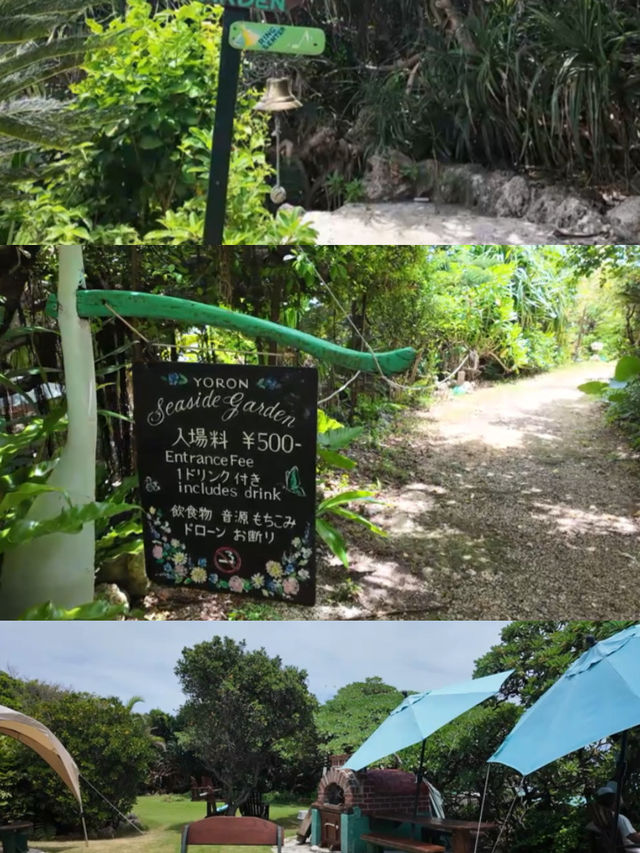 【与論島】ガーデンからのオーシャンビュースポット🌿