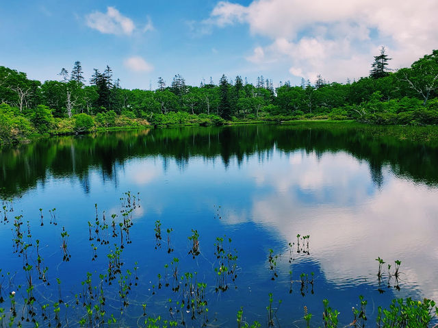 Shinsen-numa Marsh Parking Lot & Observation Deck