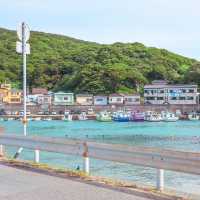【高知】エメラルドグリーンの高知西南端の島