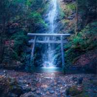 神秘的な滝壺と鳥居（岩門の滝・岐阜県関市）