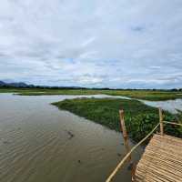 จุดชมวิวหนองสมอ