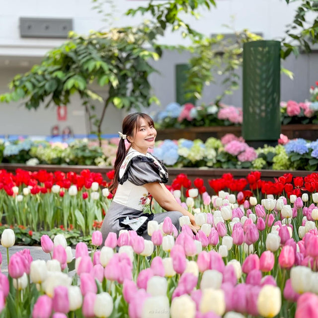 🌷สวนดอกไม้เมืองหนาวที่ใหญ่ที่สุดในประเทศไทย🌹