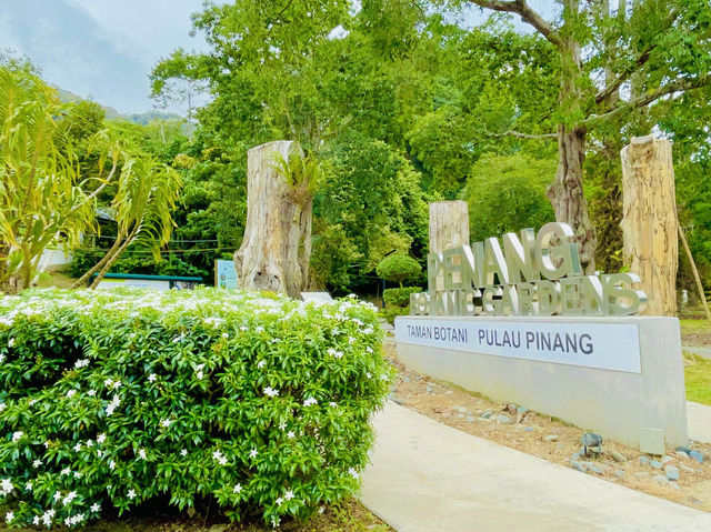 Penang Botanic Gardens is a serene experience🇲🇾