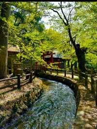 〜福島県〜世界でここだけ！一方通行のお堂さざえ堂！