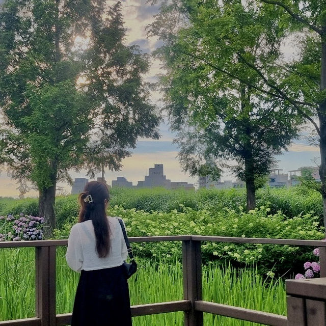 청량함 가득! 태화동 국가정원