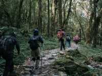 Day 2 Mardi Himal (Pitan Deurali-Low Camp) 