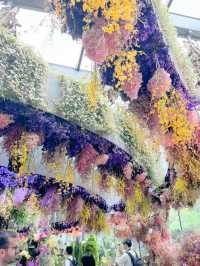 Singapore🇸🇬お花がいっぱいの映えスポット！フローラルファンタジー