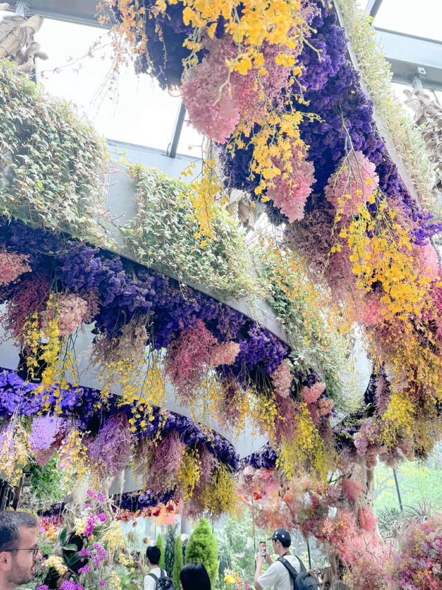 Singapore🇸🇬お花がいっぱいの映えスポット！フローラルファンタジー