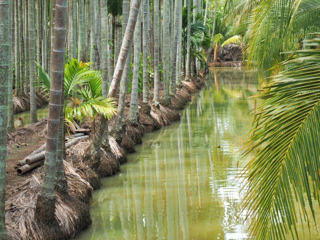 ฌานหมากคาเฟ่ อ.บางคล้า จ.ฉะเชิงเทรา