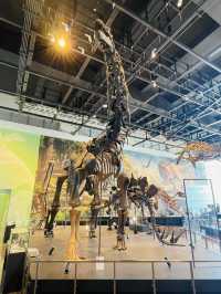 【長崎県:野母崎】長崎県で発見された恐竜の化石を展示！