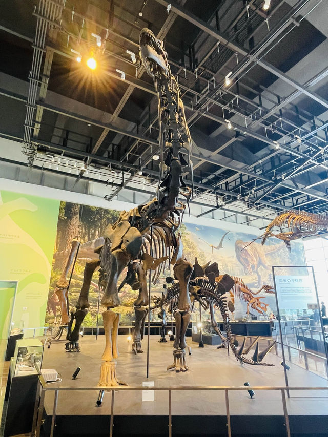 【長崎県:野母崎】長崎県で発見された恐竜の化石を展示！