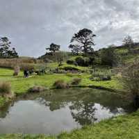 Must visit place in auckland