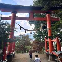 Experience the Charm of Arakurayama Sengen Park! 🌸⛩️