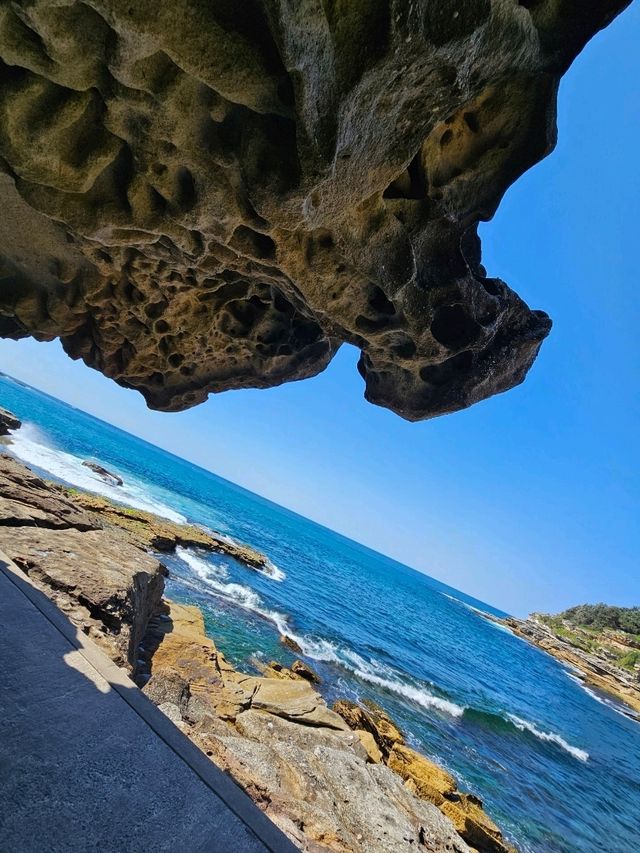 시드니 🇦🇺 본다이비치 옆 해안길 풍경이 이쁜 산책코스