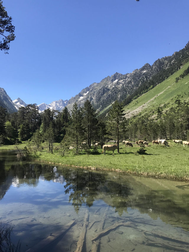 【フランス】絶景！ピレネー山脈でトレッキング🥾