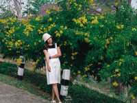 อุทยานแห่งชาติศรีน่าน - ผาชู้
