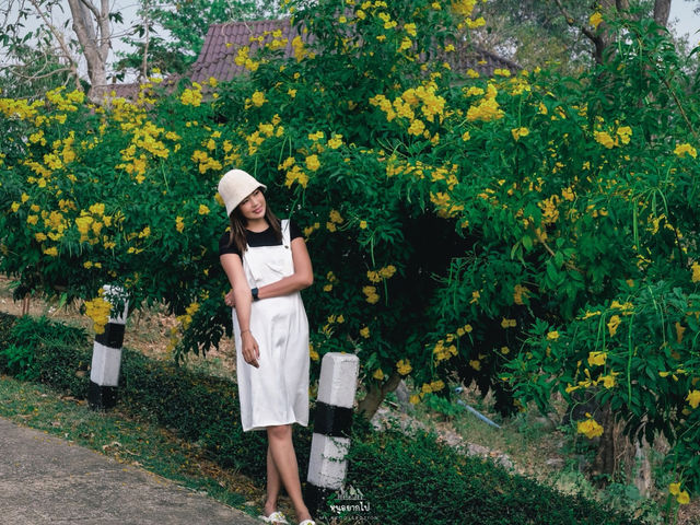 อุทยานแห่งชาติศรีน่าน - ผาชู้