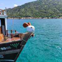 เที่ยวเกาะเต่า ล่องเรือ ดำน้ำ ตกปลาใน 1 วัน