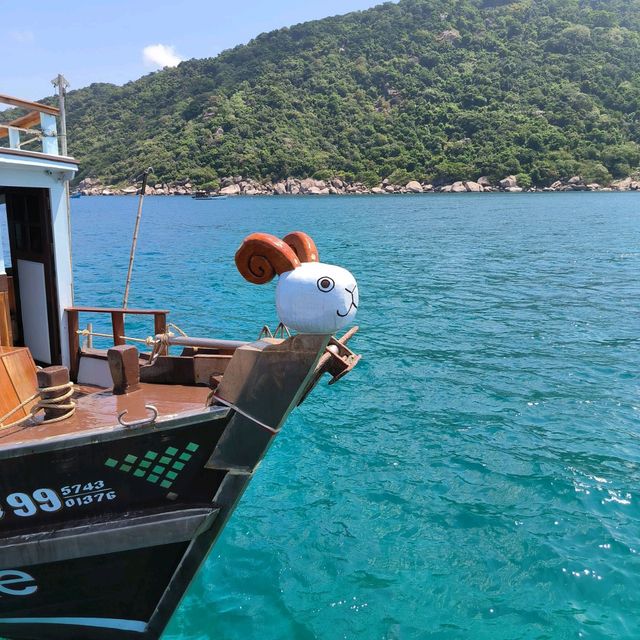 เที่ยวเกาะเต่า ล่องเรือ ดำน้ำ ตกปลาใน 1 วัน
