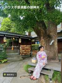 〜京都府〜京都パワスポならここ行って平安から続く晴明神社！