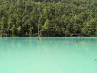 Day trip at beautiful AAAAA Jade Dragon Snow Mountain 🏔️