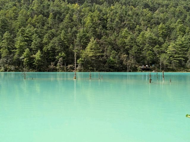 Day trip at beautiful AAAAA Jade Dragon Snow Mountain 🏔️