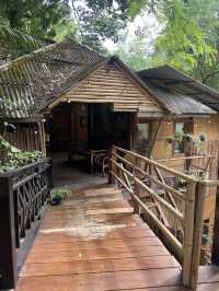 📍บ้านต้นไม้แม่แมะ จ.เชียงใหม่