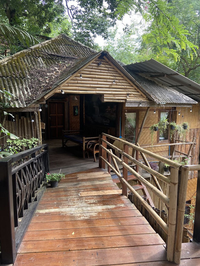 📍บ้านต้นไม้แม่แมะ จ.เชียงใหม่