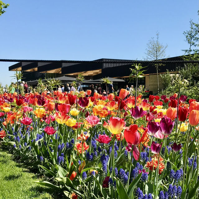 "Keukenhof: A Floral Wonderland for Flower Lovers"