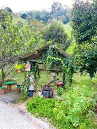 Nature and Family Fun at Bentong Farm