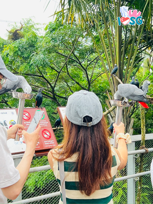 🇸🇬 Professional Photographer