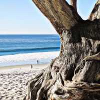 The Hidden Beaches of Big Sur, California