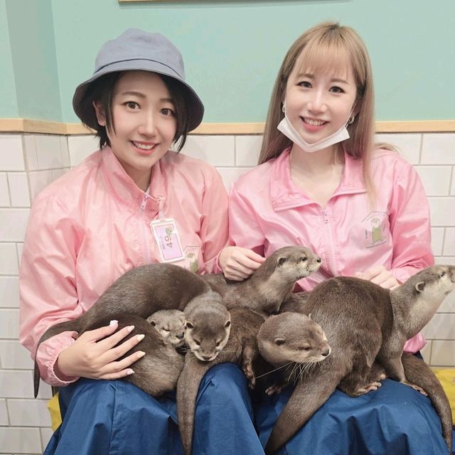 原宿竹下通超值好去處