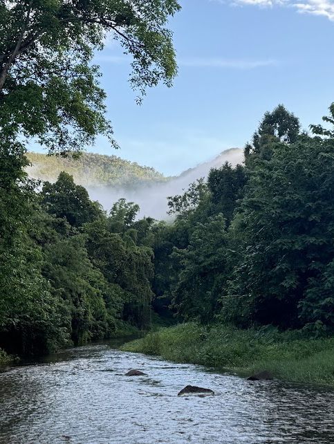 🌳Rimkao Valley Resort