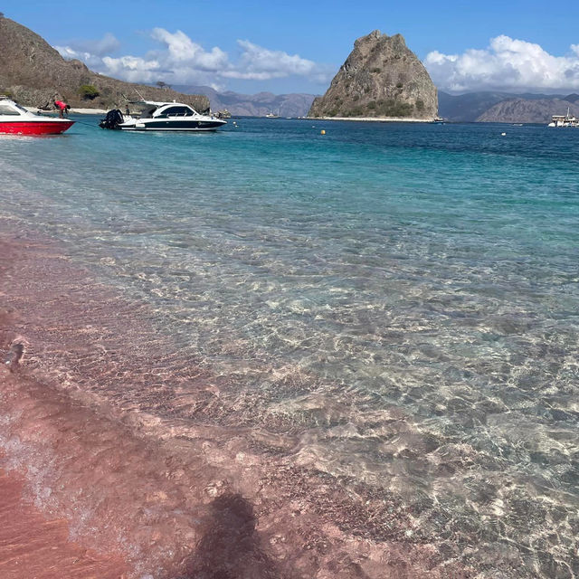 Blushing Shores: Falling in Love with Komodo's Pink Beach